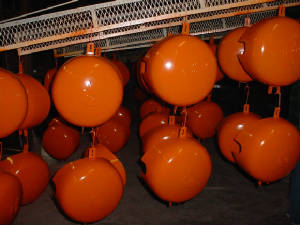 Coated Objects